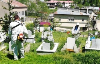Bayburt Belediyesi Mezarlıkları Bakıma Aldı