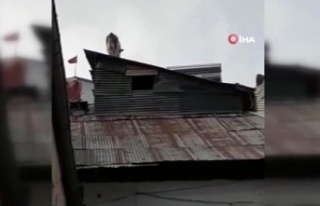 Bayburt'ta ilginç görüntü kamerada...Çatıda...
