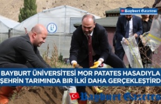 Bayburt Üniversitesi Mor Patates Hasadıyla Şehrin...