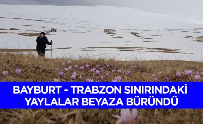 Bayburt - Trabzon sınırındaki yaylalar beyaza büründü